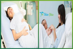 dịch vụ nuôi sanh nuôi đẻ uy tín