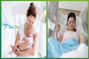 dịch vụ tìm người nuôi sinh nuôi đẻ
