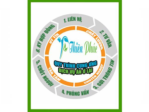 quy trình dịch vụ giúp việc ăn ở lại tại nhà