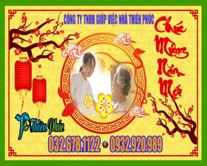 avata post dịch vụ chăm sóc người già ngày tết chu đáo